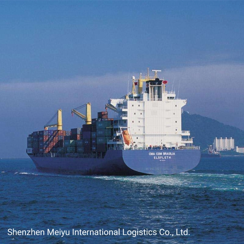 China Top Shipping Agent DDU/DDP Sea Shipping to Australia