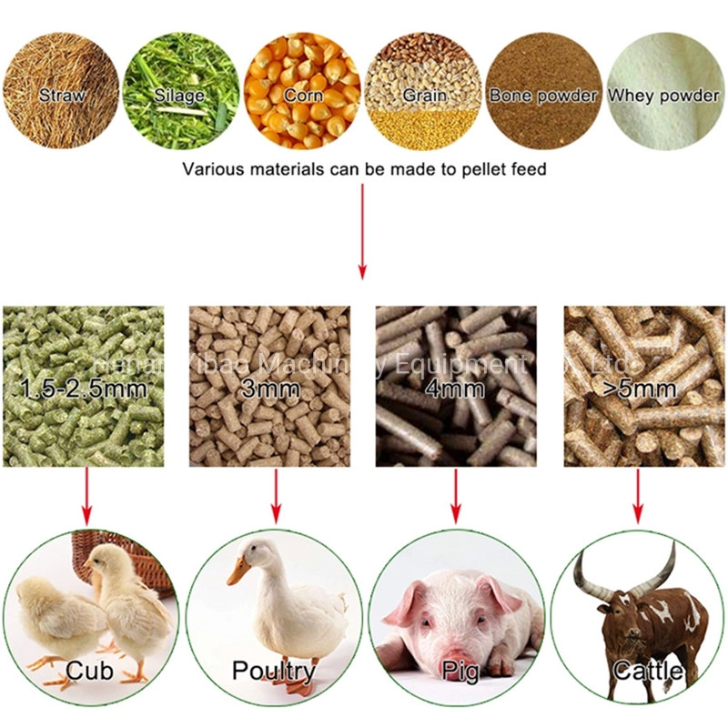 Équipement de fabrication d'aliments pour volaille Machine de traitement des aliments pour animaux