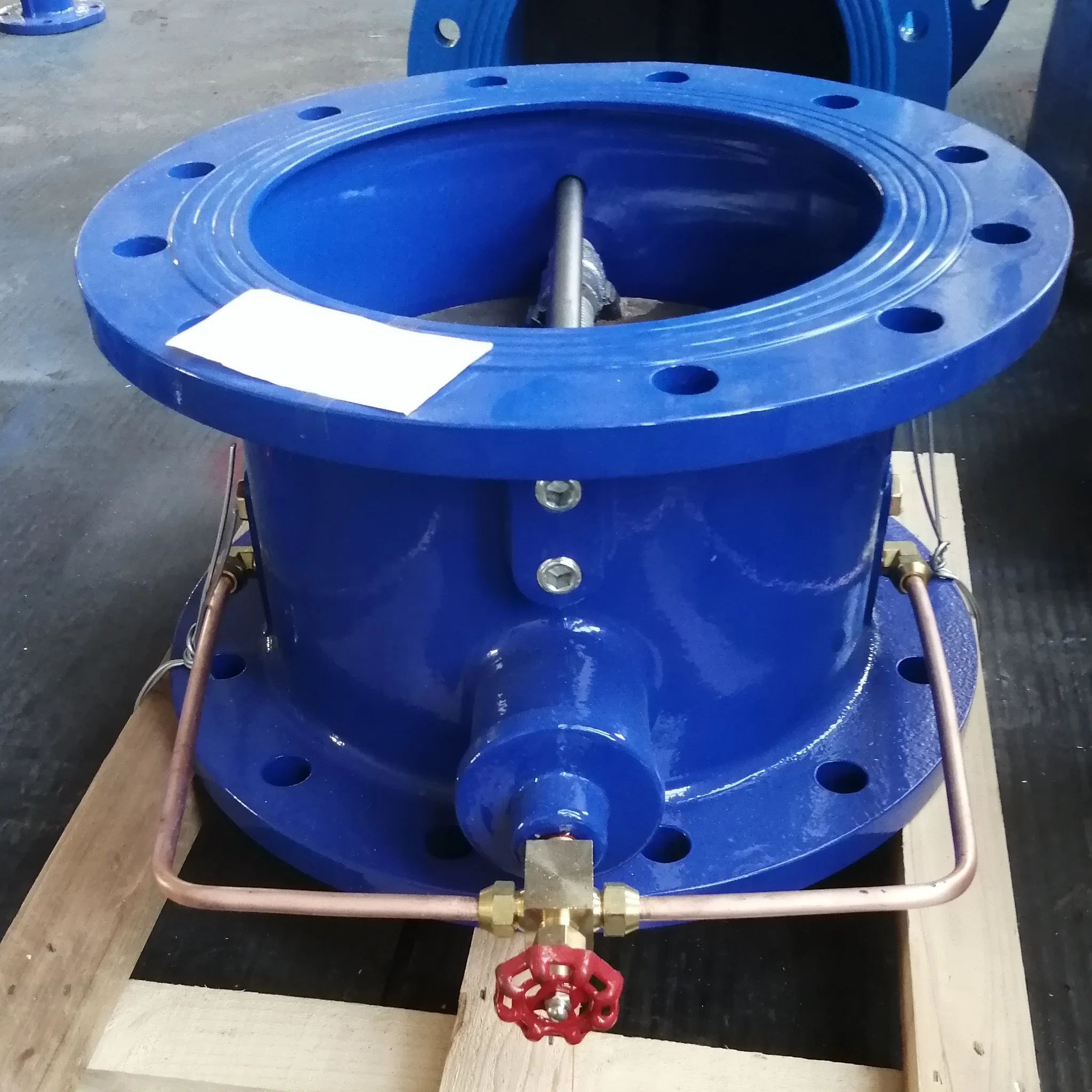 Adjustable Hydraulic Double Disc Spring Loaded Pipe Butterfly Check Valve with Buffer Device