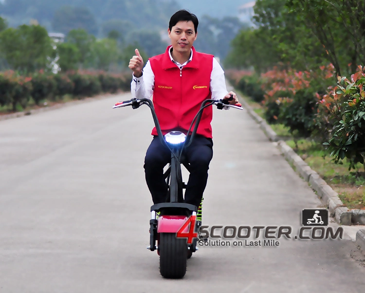 High Quality Fat Tire Mini City Coco Electric Scooter Two Wheel 350W