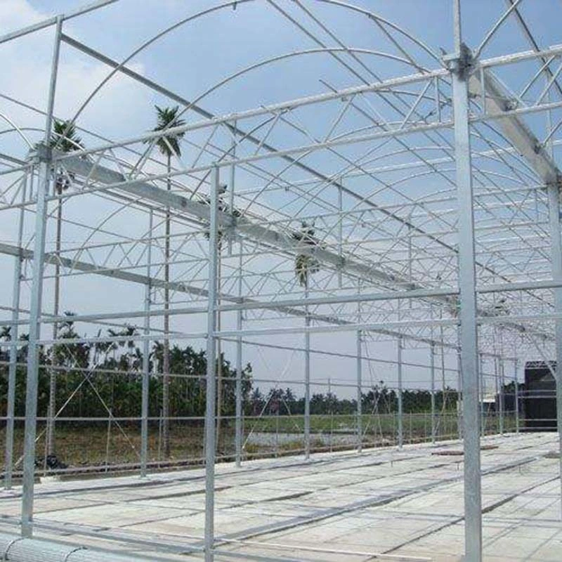 Customized Hot DIP Galvanized Steel Tunnel Hydroponics Vegetables Garden Green House with Shading System