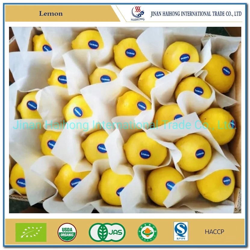 Fresh Fruit Chinese Grade One Lemon