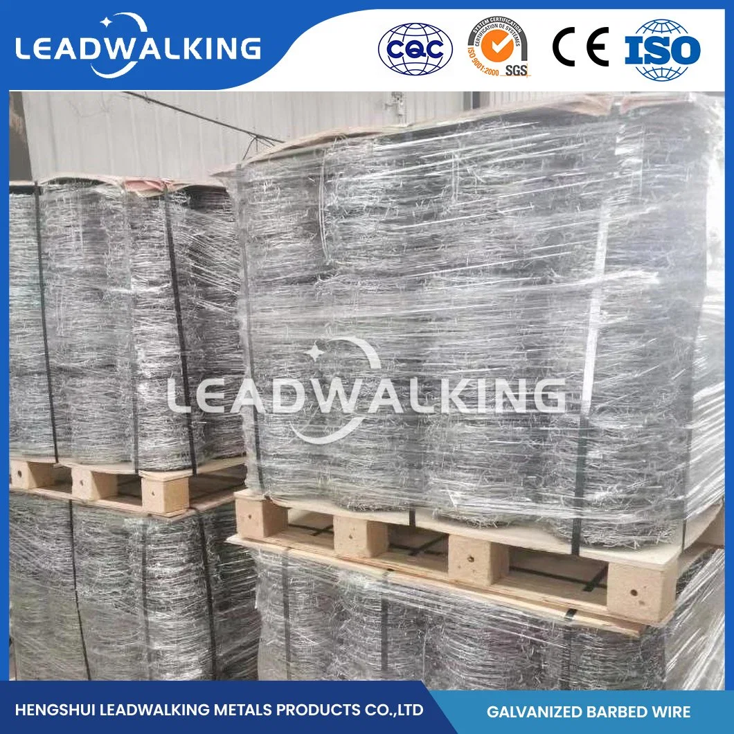 Leadwalking Grassland Barbed Wire Manufacturing Sample Available Flexible Galvanized Razor Barbed Wire China High Strength Hot DIP Galvanized Barb Wire