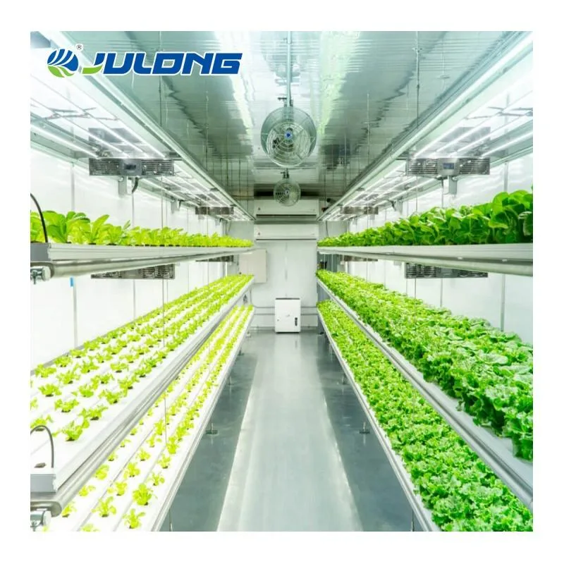 Vertical Farming Equipment Hydroponics Container Greenhouse for Commercial Used