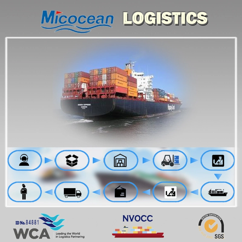 International Logistics Consolidation Sea Shipping From Guangzhou/Shanghai/Shenzhen/Ningbo to Taranto, Italy