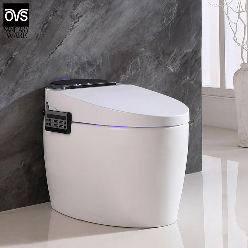 Bathroom One Piece Tankless Intelligent Toilet