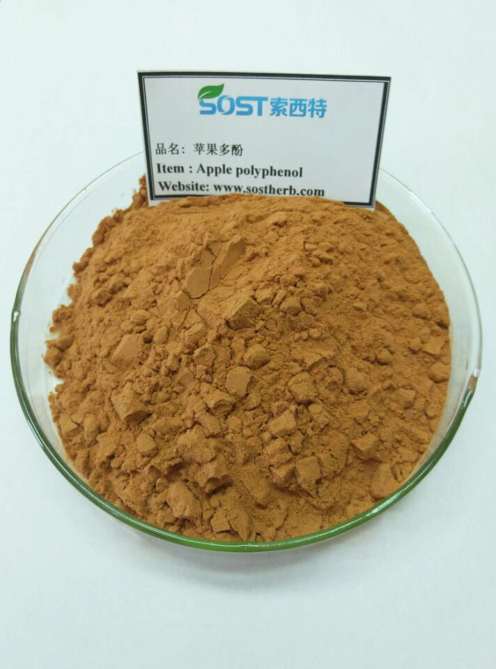 SOST Best Price Top Quality green apple extract