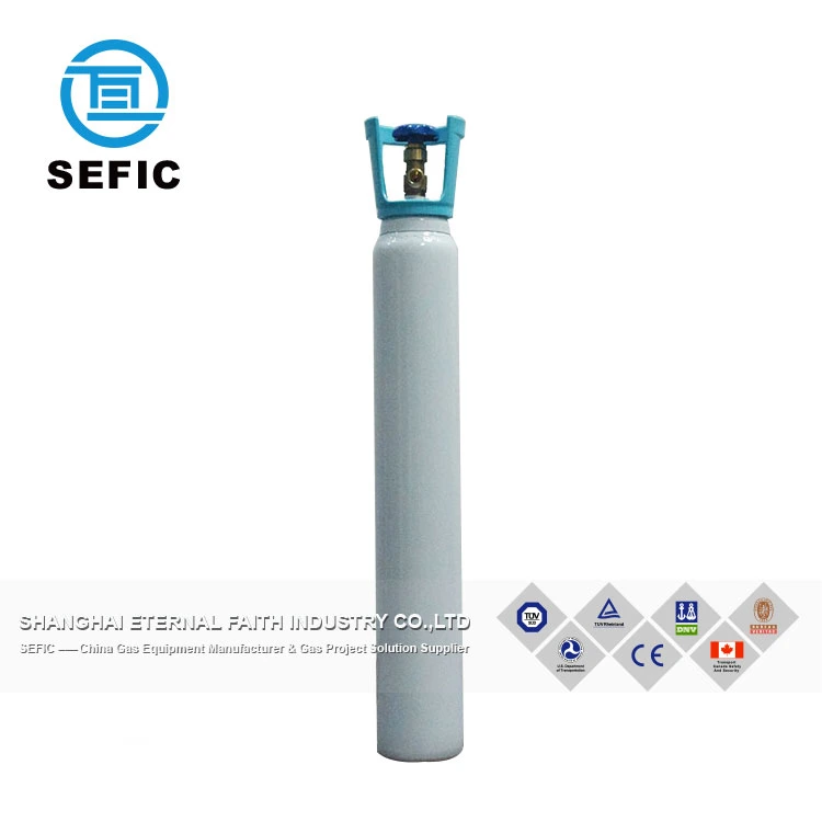Carton Packing Gas Sefic CE/Tped/DOT Shanghai, China (Mainland) &quot; Harbor Freight&quot; Safety Regulator