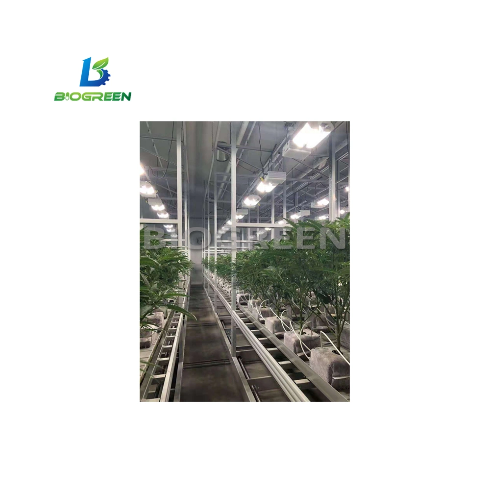 Full Automatic Vertical Grow Container Mushroom Mircogreen Aeroponic System in Container Farm