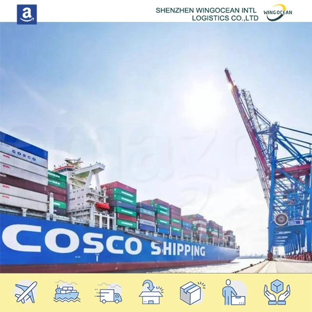 International Shipping China to Philippines Maritime Cargo Logistics Service