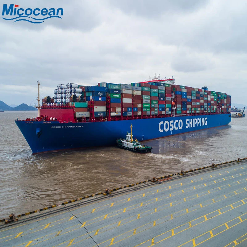 LCL Logistica Service Consolidation Sea Shipping From Guangzhou/Shanghai/Shenzhen/Ningbo to Damietta