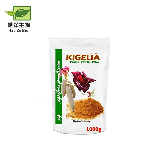 Bulk Sausage Tree Kigelia African Extract Factory Supply Kigelia Africana Powder