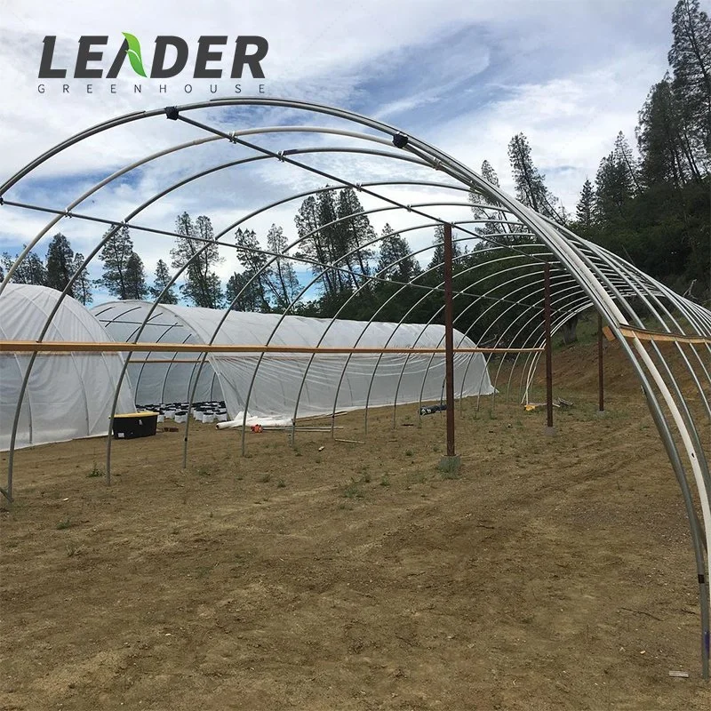 Single-Span Agricultural Greenhouses Produce Plastic-Covered Low-Cost Growing Greenhouses Farming