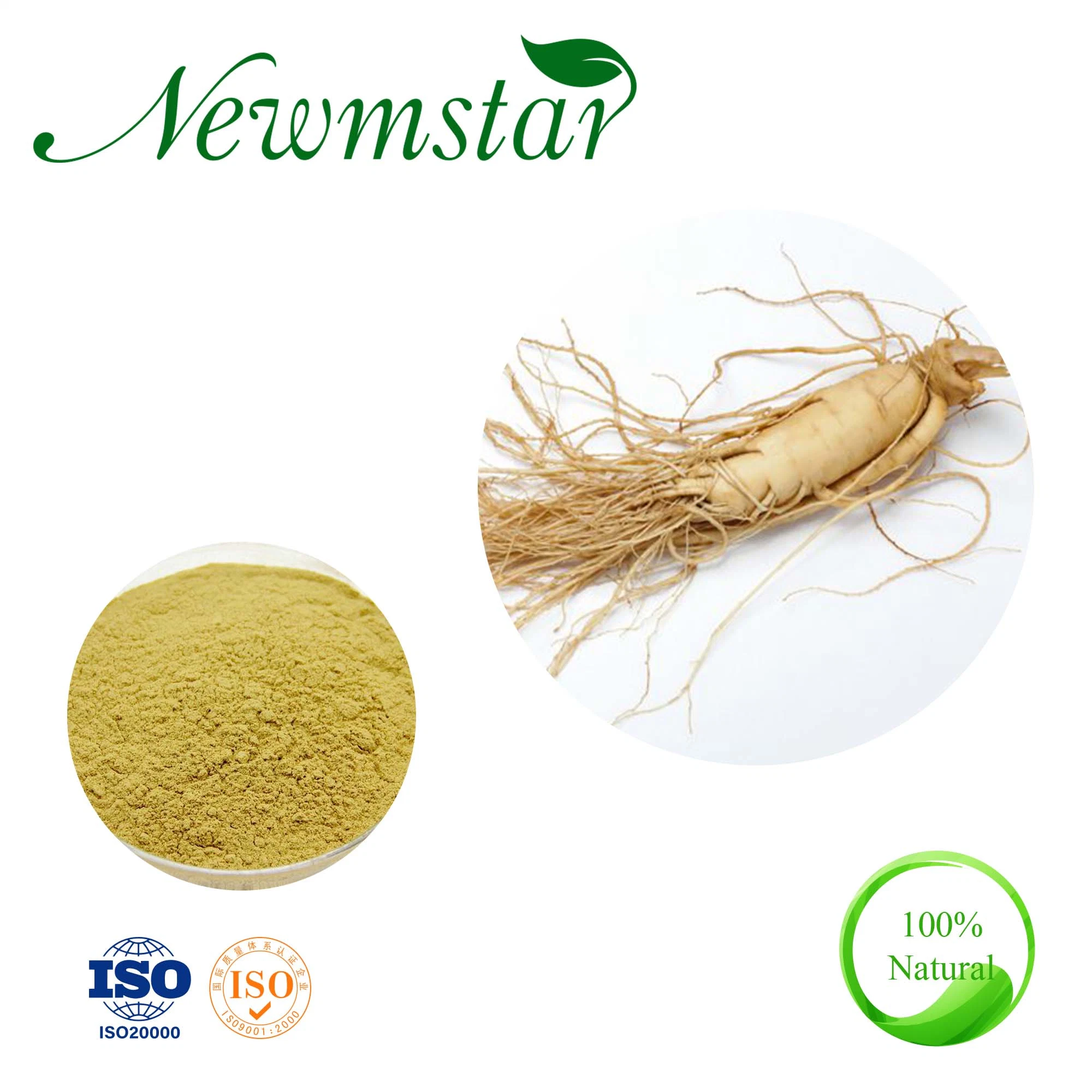 High Quality OEM American Ginsenosides 2% ~80% Ginseng Root Extract for Pharmacy