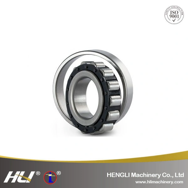 NJ2219EM  95mm *170 mm* 42 mm Cylindrical Roller Bearing for Sports Apparatus