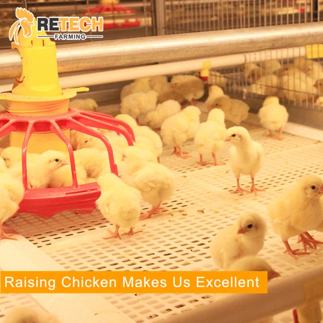 Automatic Poultry Farming Desig Chicken Feed Silo System