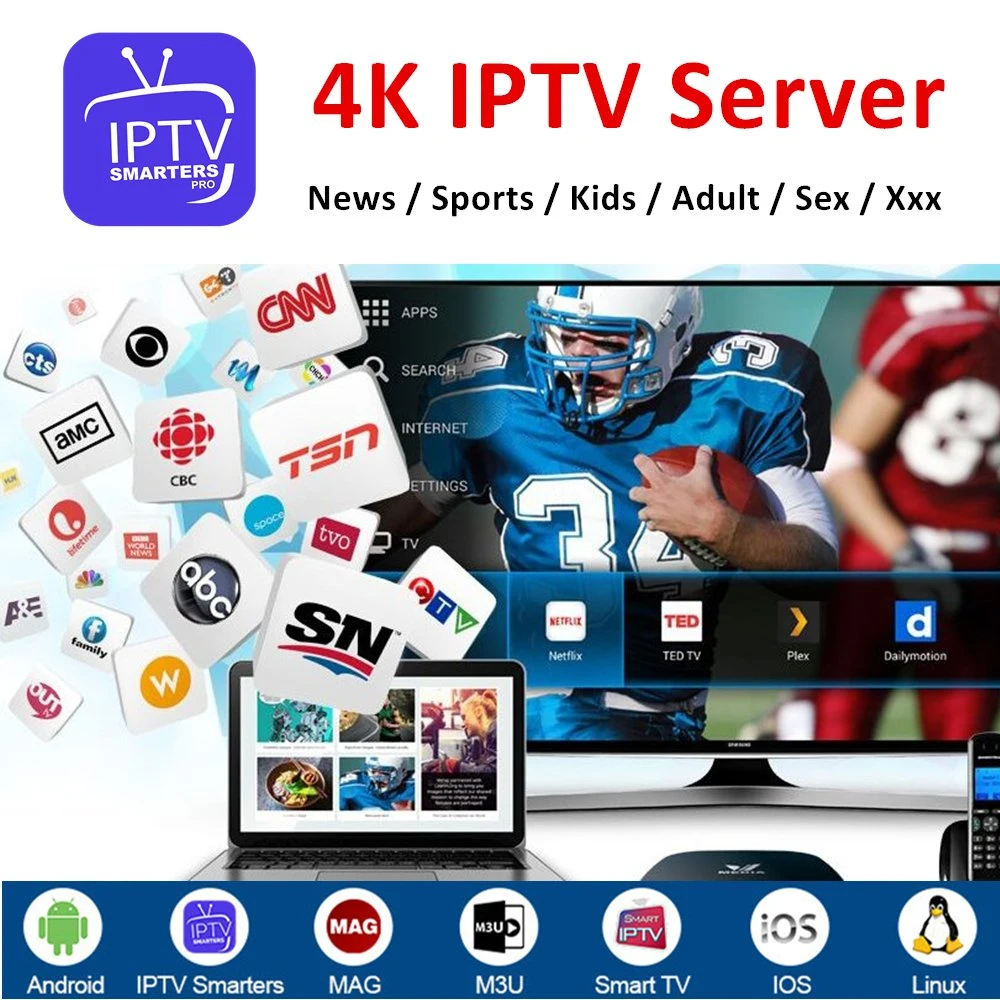 Panneau de revendeurs IPTV M3U haute qualité, canal 4K, 12 mois Code pour le décodeur TV Android