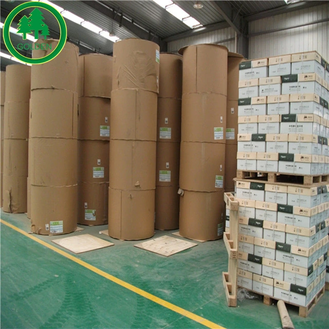 60-120GSM Uncoated White Woodfree Offset Printing Paper