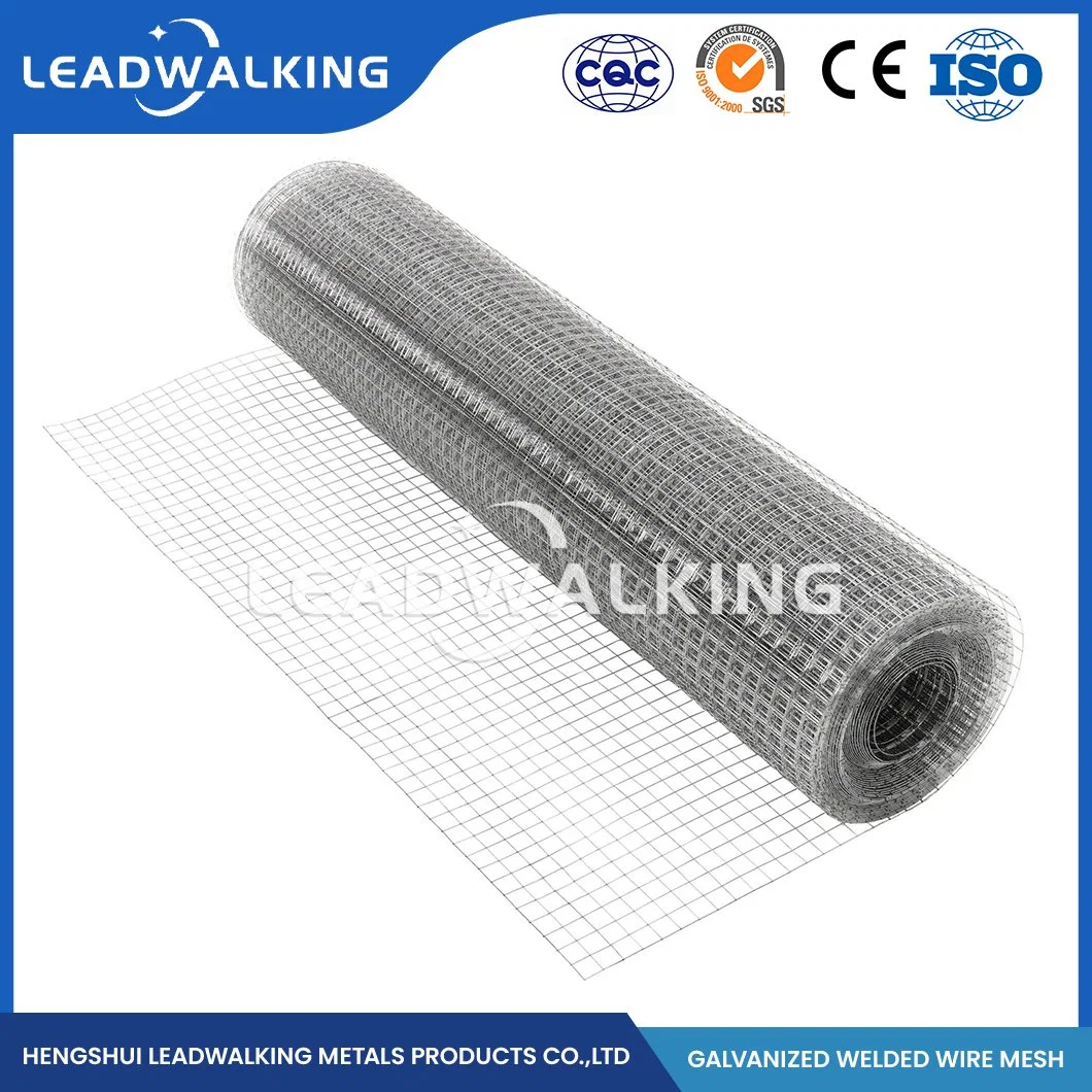 Leadwalking 12 Gauge Vinyl Coated Welded Wire Fencing Manufacturers Custom Woven Welded Wire Mesh China 100.0X75.0mm Galvanized Welded Wire Mesh Sheet