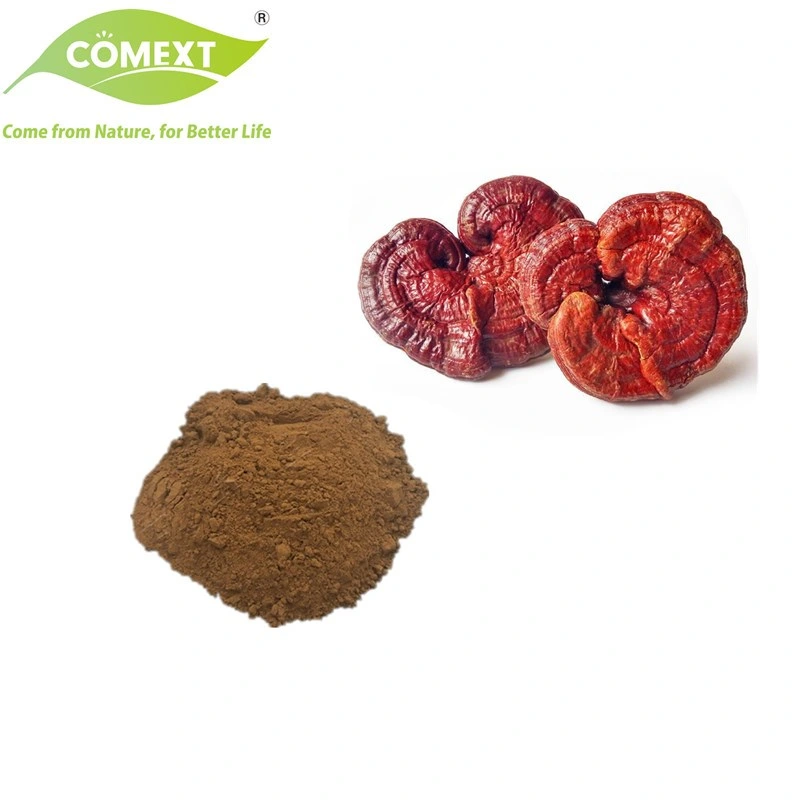 Comext Free Smple Factory Direct Organic Reishi Mushroom Extract Deep Brown Powder for Healthcare Supplment