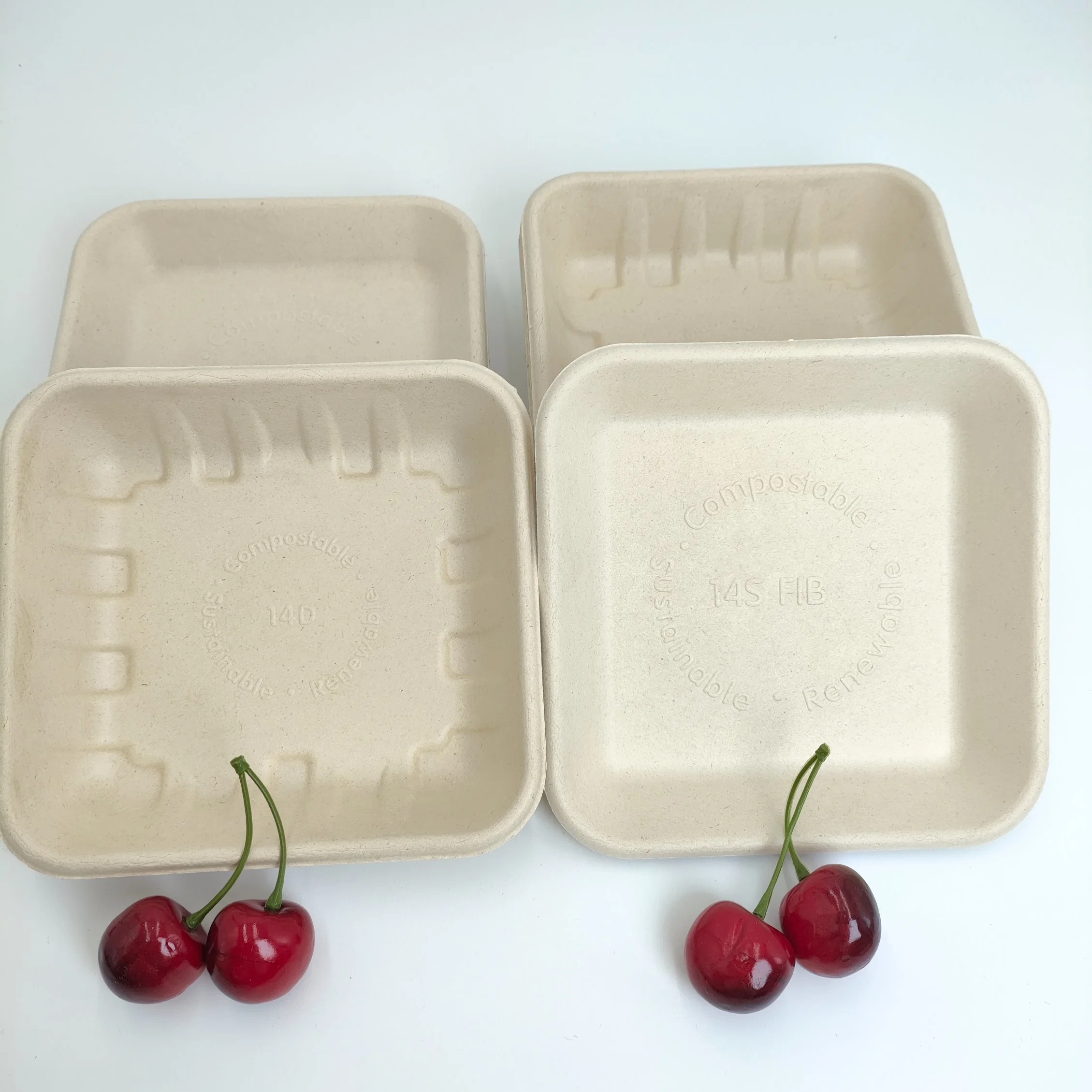 Sugarcane Bagasse Fried Chicken Custom Food Box Packaging Sushi Square Tray with Lid