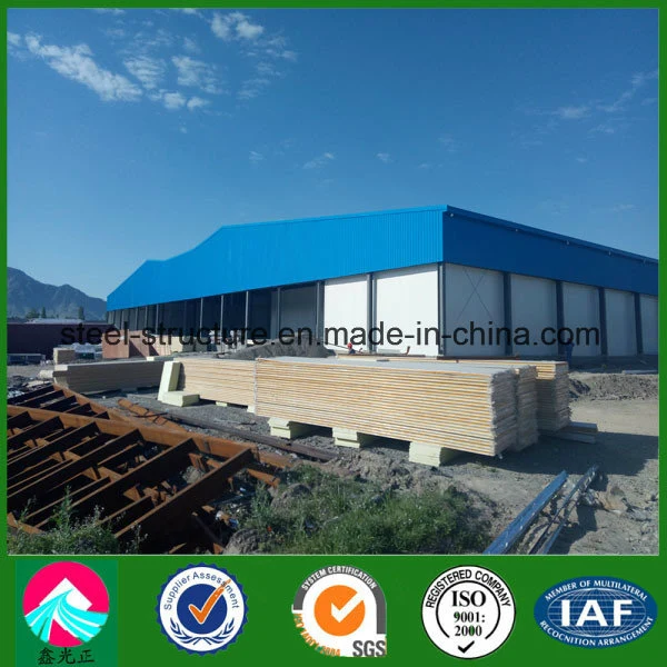 Prefabricated Customized Steel Structure Project Building Cold Storage Room with ISO&SGS Certified