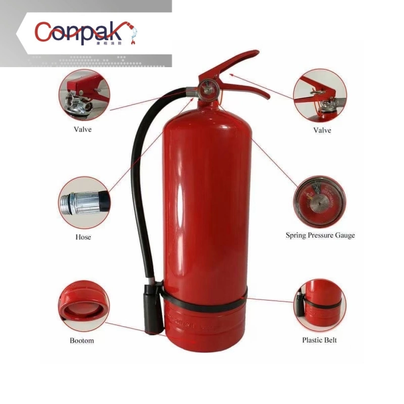 FM200 Hfc227ea Gas Custom Portable Dry Powder Fire Extinguisher