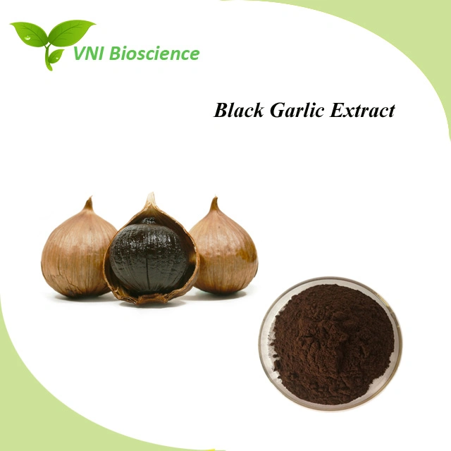 Kosher Certified Pure Natural Allicin Powder Black Garlic Extract