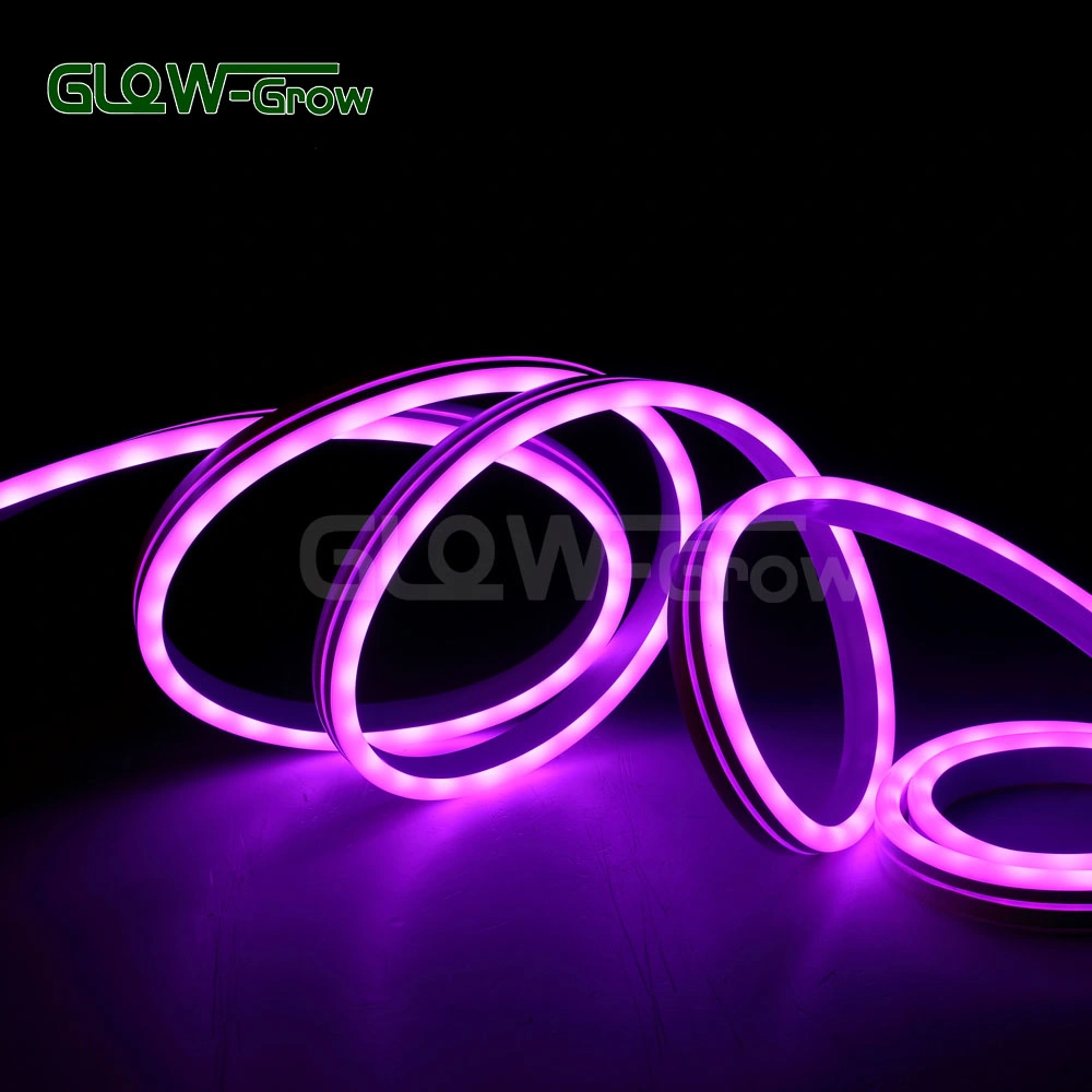 House Use IP65 Waterproof 24V 5050 RGB LED Neon Flex Light for Hotel Decoration