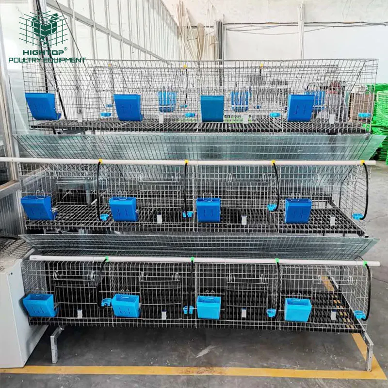 Cheap Durable Galvanized Welded Metal Wire Mesh Rabbit Breeding Cage For Kenya Farm