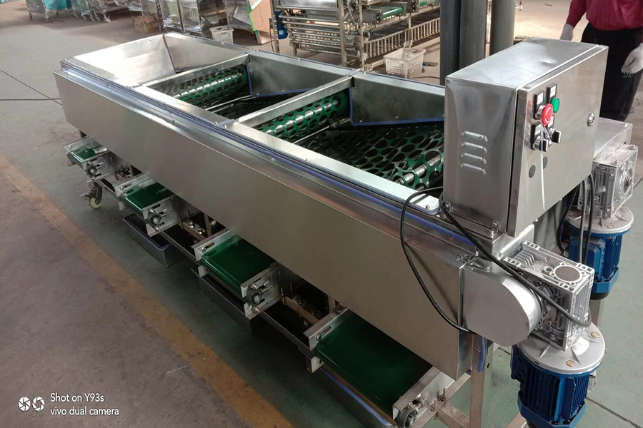 Automatic Onion Garlic Size Sorting Electric Fruit Grading Machine