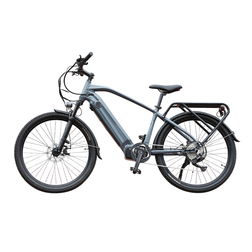 350W Bastidor Ebike bicicleta eléctrica 7 marchas (shimron) Todoterreno bicicleta eléctrica MTB Bicicleta de mujer