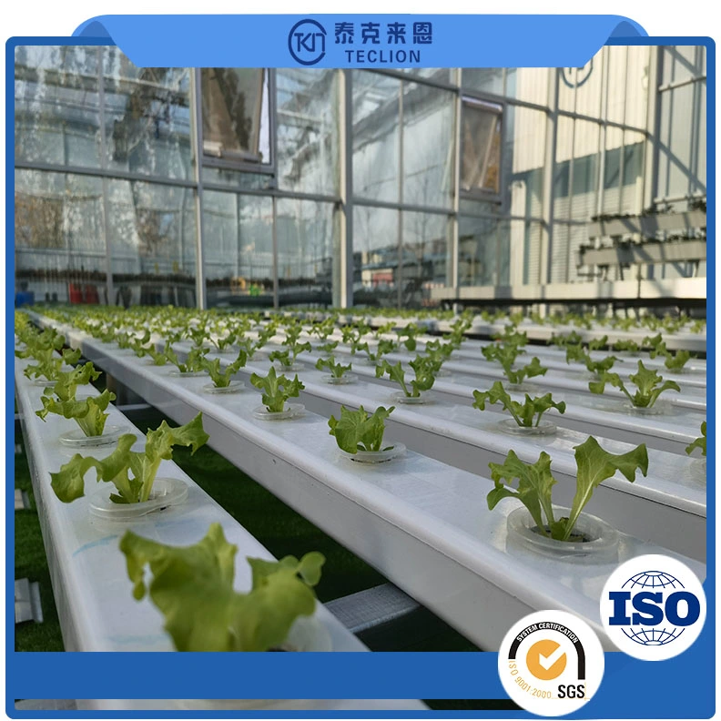 Nft Channel System Hydroponics Agricultural Leafy Vegetable Hydroponics System Professional Chinese Manufacturer