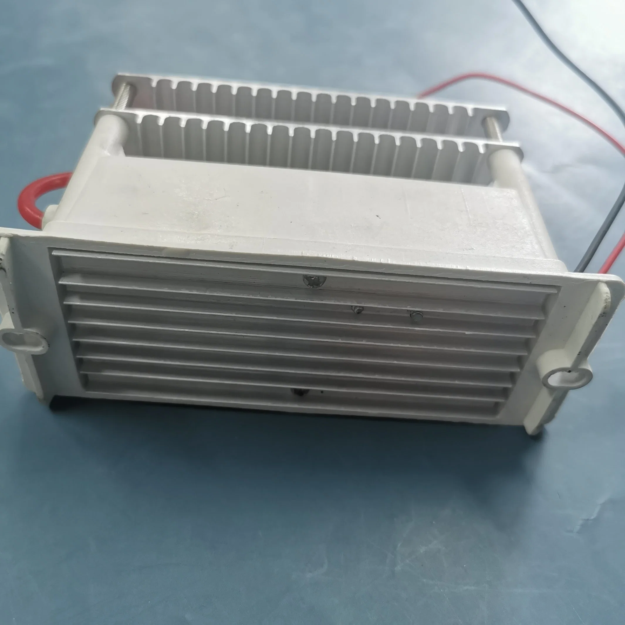 DIY 10g 220V module générateur d'ozone de bonne qualité avec intégré Plaques céramique ozone pour purificateur d'air