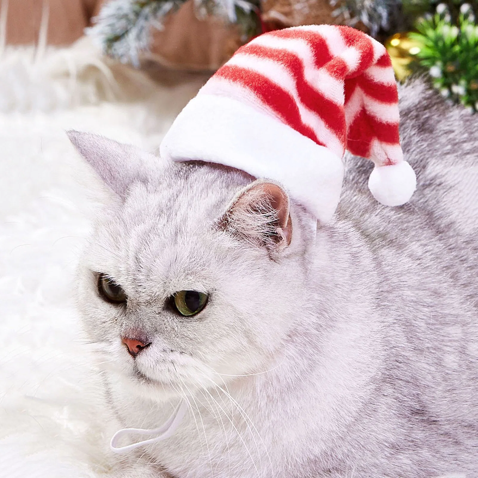 Schöne Hübsche Haustier Hund Katze Weihnachtsmütze Klein Medium Groß Hundezubehör