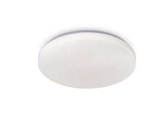 Nordic Modern Indoor Lighting Remote Control LED Round Ceiling Lights