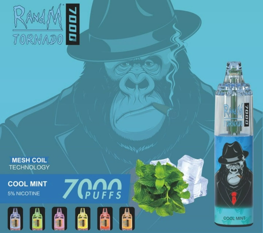 Hot Sell Randm Tornado 7000 Puff Wholesale/Supplier Disposable/Chargeable Vape Smooth Taste