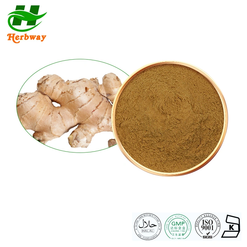 Herbway Anti-Hypertensionfactory Direct Sale Zingiber Officinale Extract Ginger Root Powder