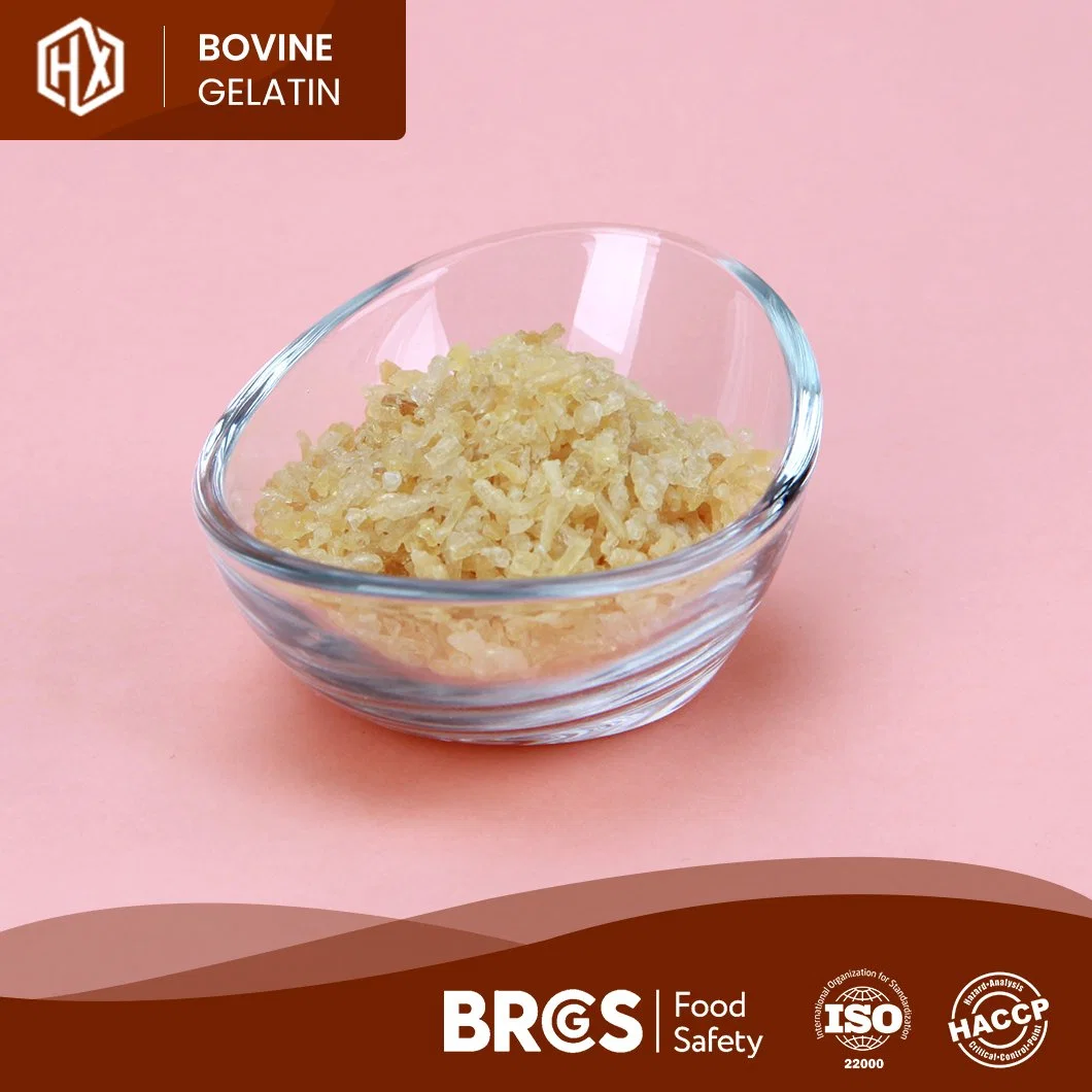 Haoxiang 250 Bloom Edible Bovine Skin Gelatin High-Purity Halal Bovine Skin Gelatin China Supplier Sample Available Pharmaceutical Bovine Skin Gelatin