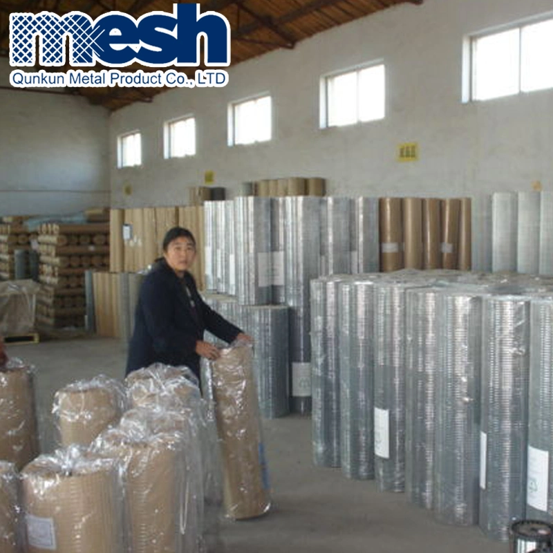 High quality/High cost performance  Galvanized Storage Cage