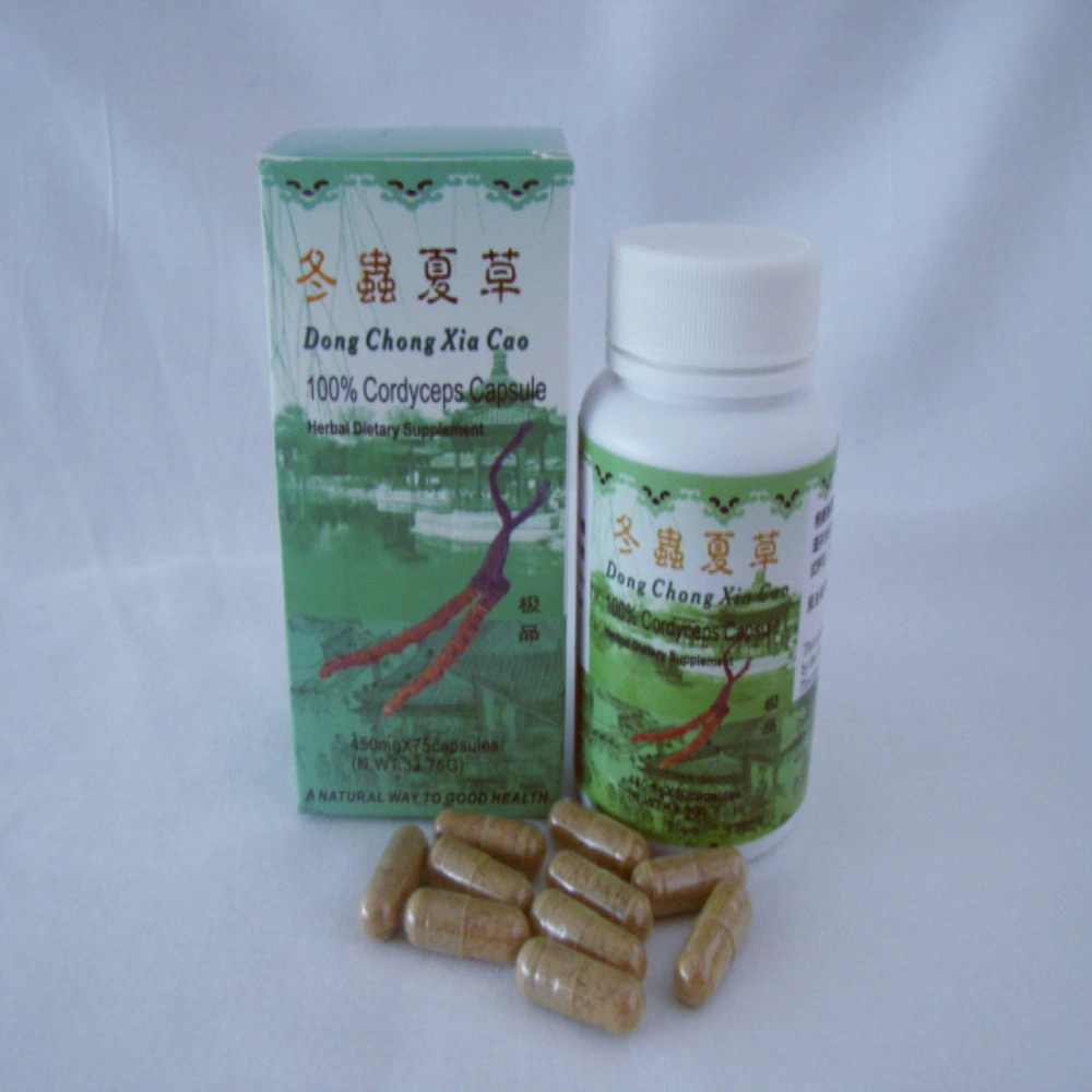 Health Food for Resisting Inflammation and Kidney Failure Cordyceps Capsule