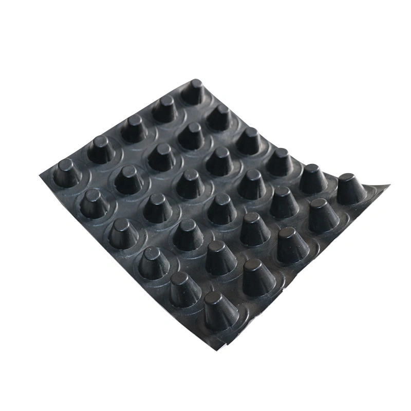 Waterproof 10mm HDPE Drainage Board Sheet in 2.5m*30m Per Roll for Roofing Anti-Seepage