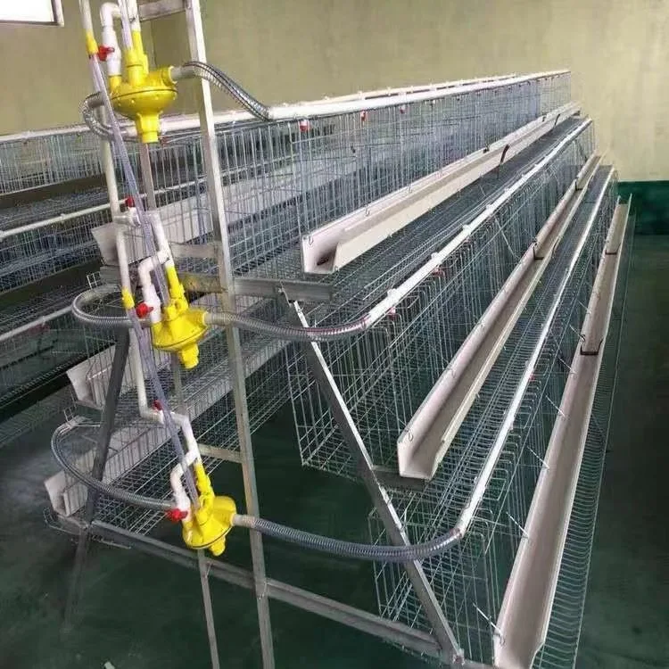 Professional Large Cheap Coop Hot-DIP Galvanized Automatic Chicken Layer Cage with Low Price Battery Chicken Cage Chicken Layer Battery Cage