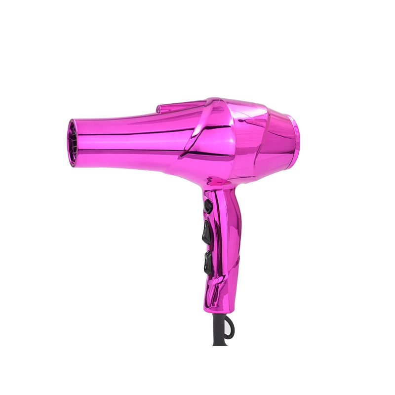 Hot Selling Salon Professional Salon Hair Dryer Electric Hair Drier with Diffuser