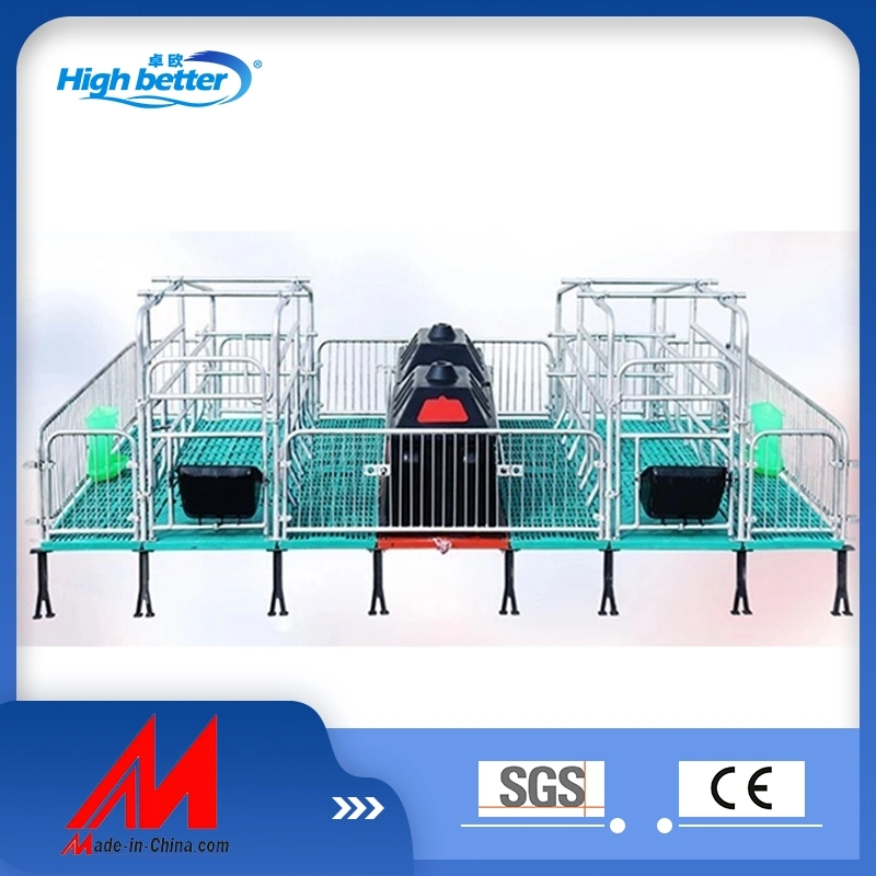 Galvanized Pig Farrowing Crates Pig Flooring Stall Farrowing Bed Sow Equipment for Hot Sale