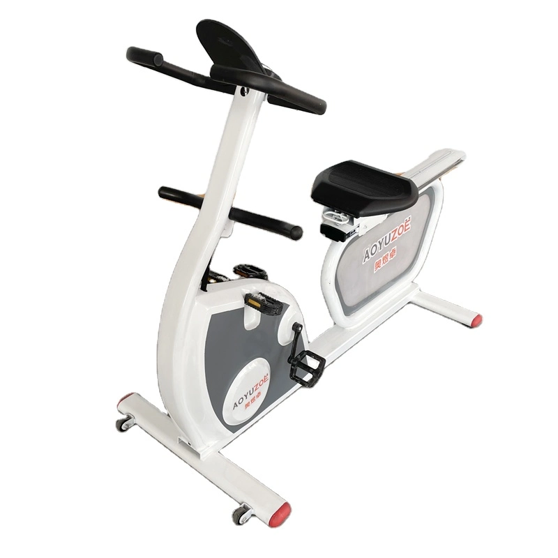Magnetic Mini Fitness Exercise Spinning Bike for Indoor Gym Training