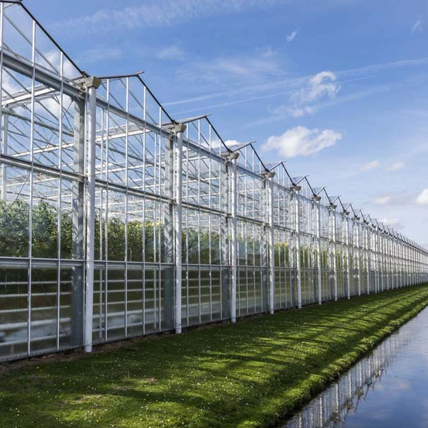 2023 China High Performance Venlo Glass Greenhouse for Modern Agriculture