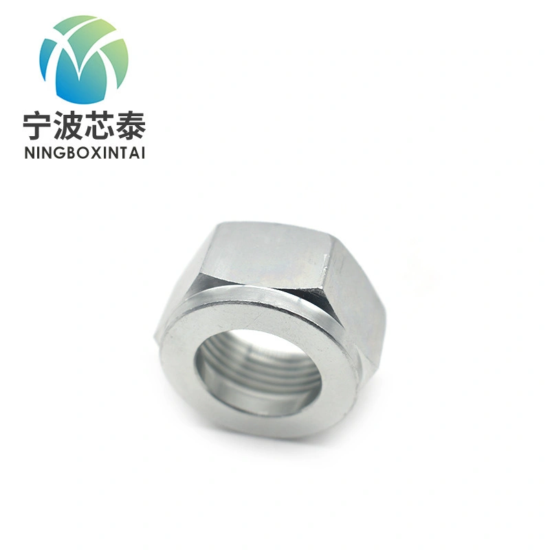 Carbon Steel Through Hole Withstand Voltage Head Full-Hex Rivet Nut