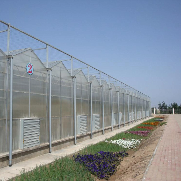 Hot Sale Multi-Span PC/Glass Greenhouse for Hydroponics Vegetables