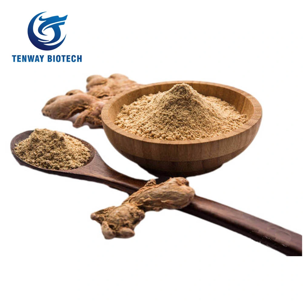 High Quality Food Ingredient Herbal Extract Food Ingredient Raw Ginger Powder